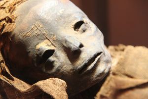 Lefejezték egy 800 éves keresztes lovag múmiáját Dublinban