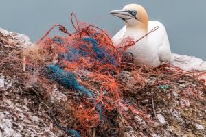 A műanyag élelmiszer-csomagolás volt a leggyakoribb szemét a tengerpartokon 2018-ban