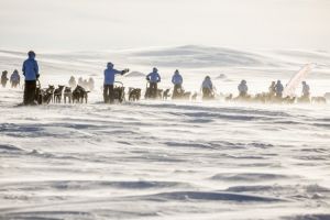 Egy ötletes videó most kutyaszános túrát érhet a sarkvidéken