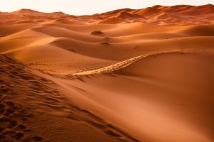 A Szahara szeme – A sivatag lenyűgöző képződménye